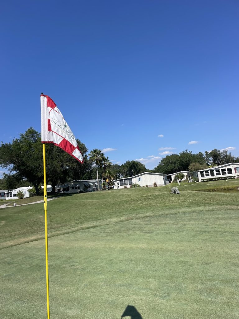 Golf course flag beside a putting green under a clear blue sky.